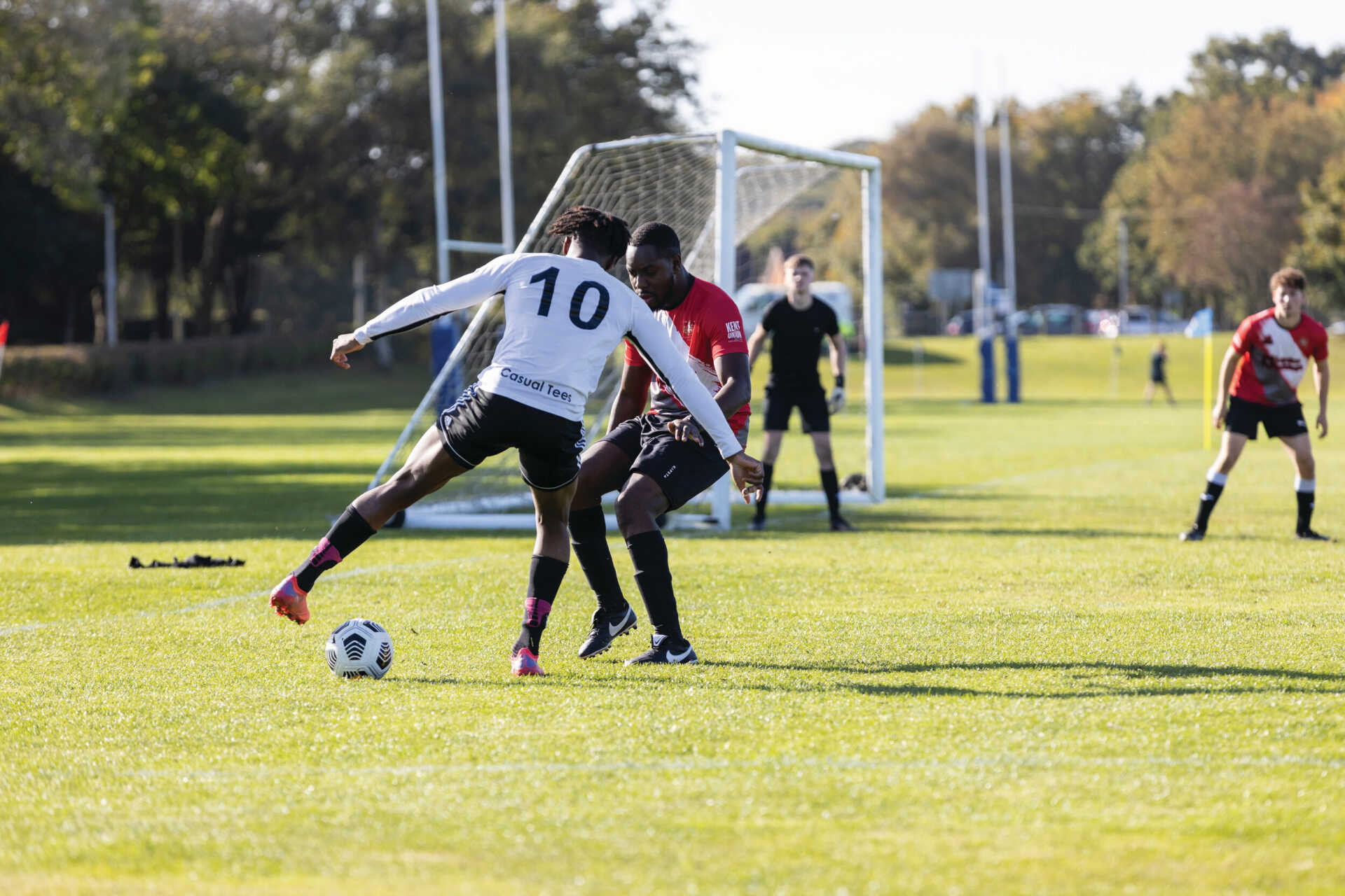 春光烂漫 春光烂漫