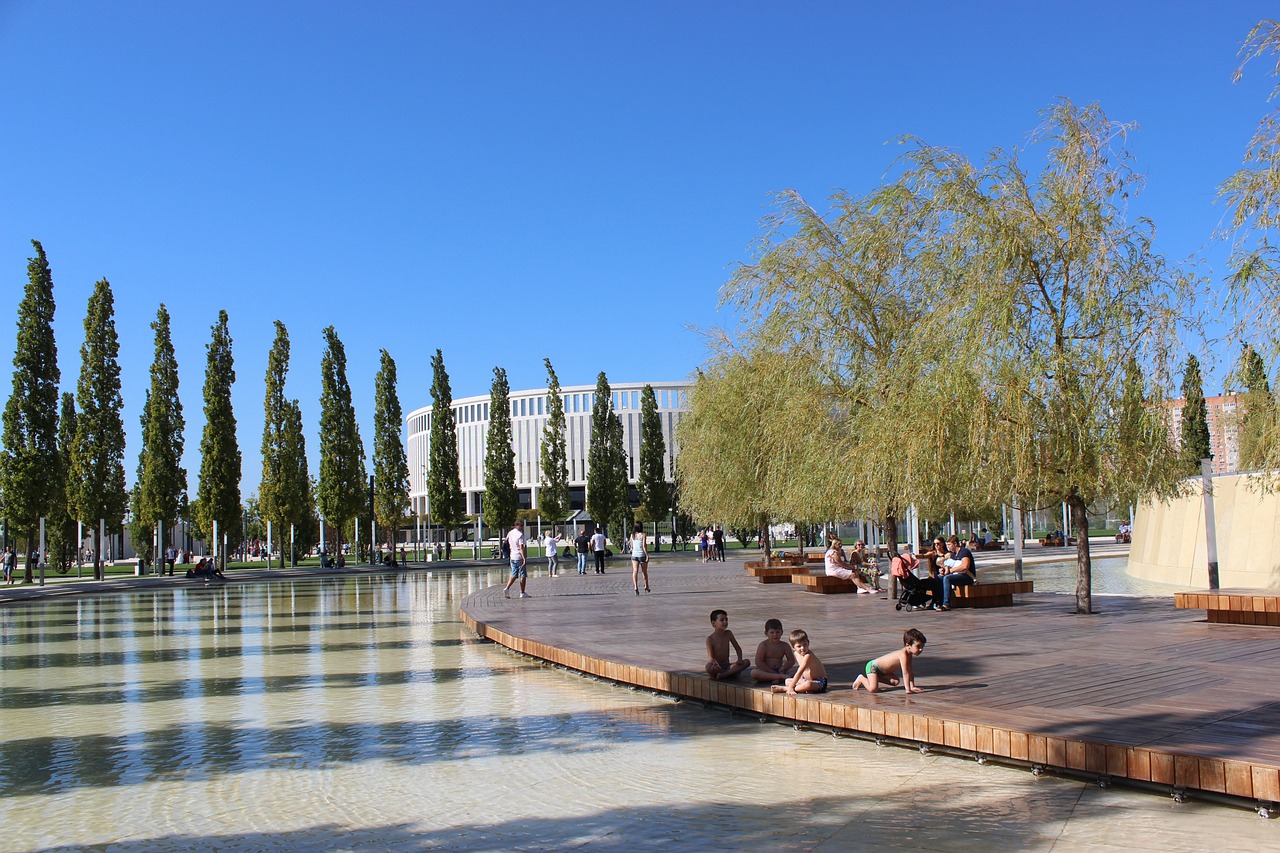 再次赢得了 再次赢得了