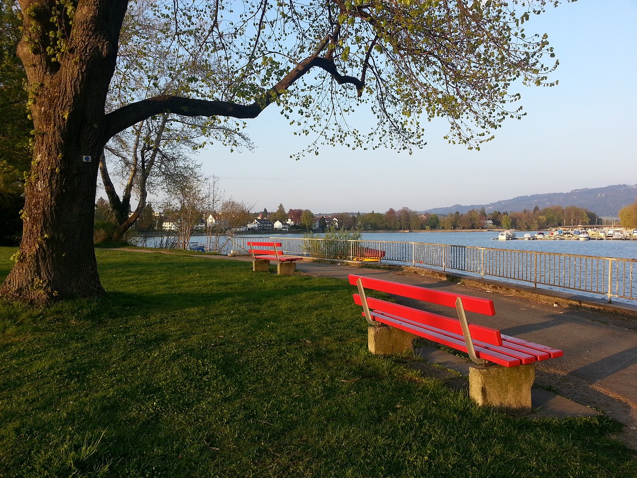 澳大利亞亞洲杯首戰告捷！主帥阿諾德喊話：還需更多進步！.