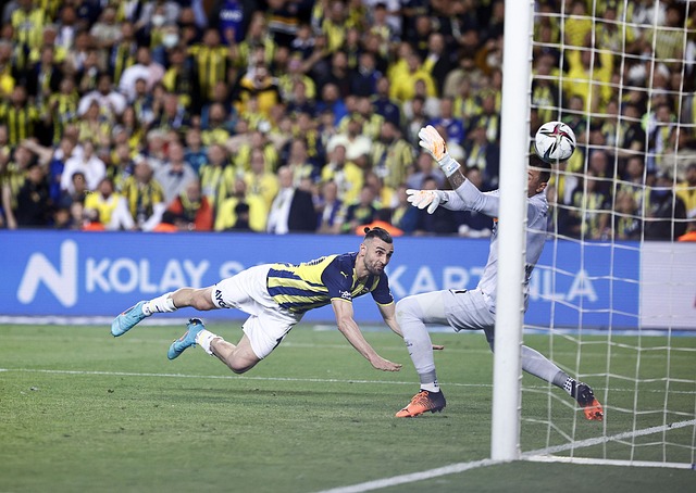 倡议下的文 倡议下的文