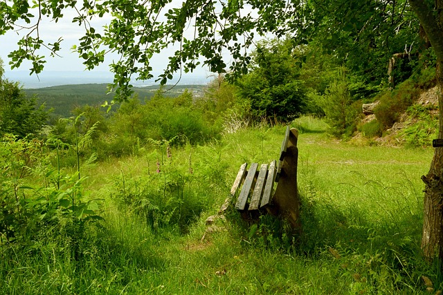 级责任的潜 级责任的潜