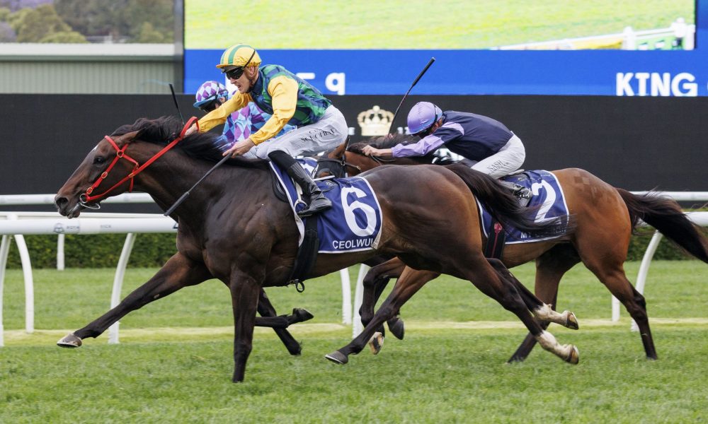 皇马和巴萨 皇马和巴萨